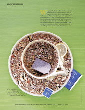 07-08_07_55 Objekt der Beg.ind