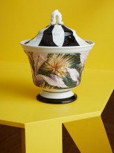 06_17-11-14_Meissen_4227